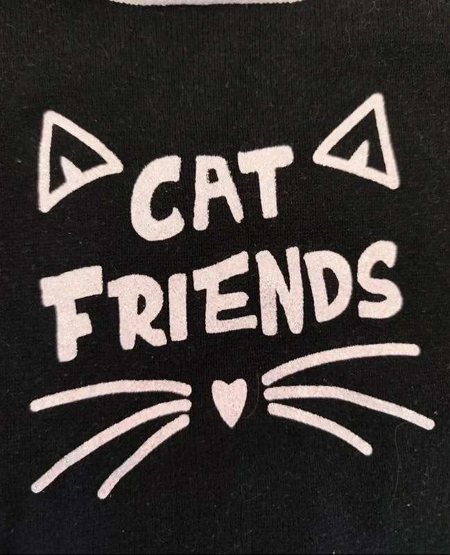 Nice cat sweater 🦄 Size 4 years 🦄 In Extenso – photo 3